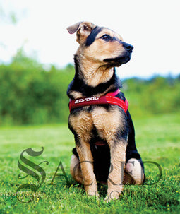 <iframe width="420" height="315" src="https://www.youtube.com/embed/nRbhFsOFn1E" frameborder="0" allowfullscreen></iframe>