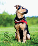 <iframe width="420" height="315" src="https://www.youtube.com/embed/nRbhFsOFn1E" frameborder="0" allowfullscreen></iframe>