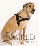 <iframe width="560" height="315" src="https://www.youtube.com/embed/uUlK2VNeotI" frameborder="0" allowfullscreen></iframe>