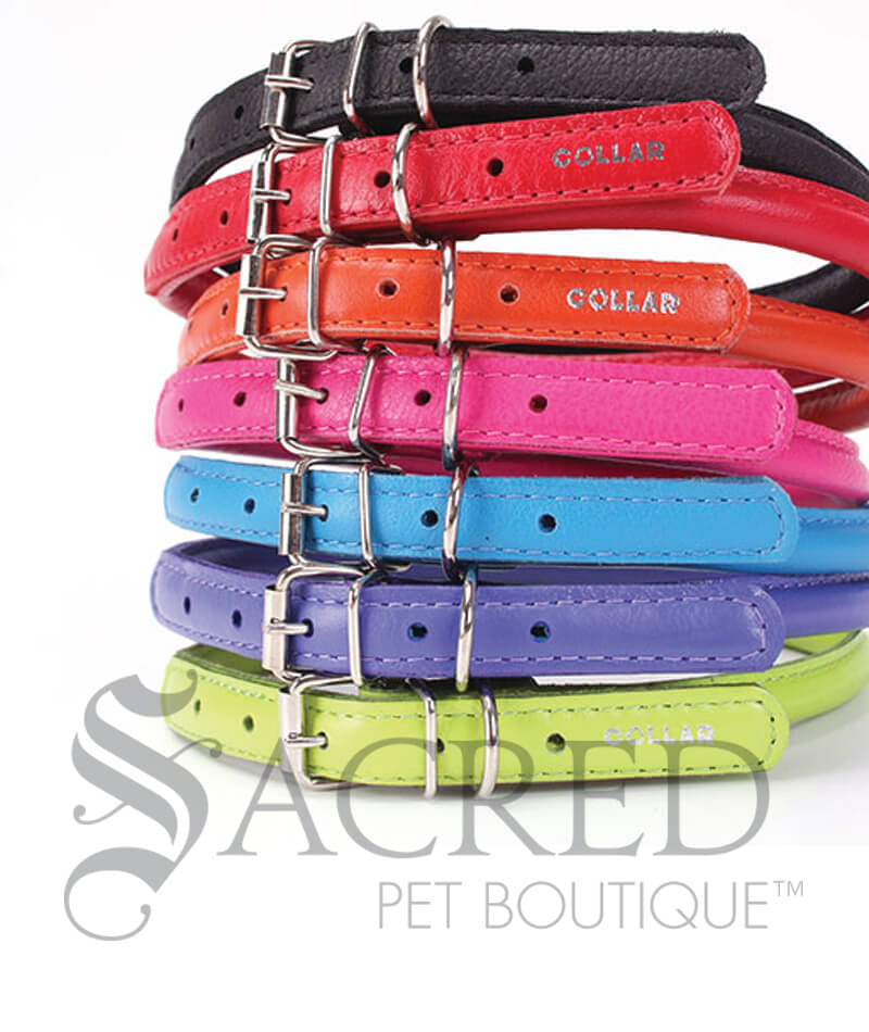 Rolled leather dog collar australia 2025