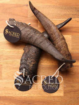 Goat Horn