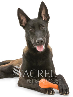 <iframe width="560" height="315" src="https://www.youtube.com/embed/nub98QfGUh0" frameborder="0" allowfullscreen></iframe>