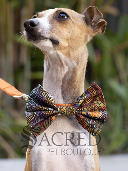 Bow Tie