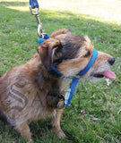 <iframe width="420" height="315" src="https://www.youtube.com/embed/oy99NlOFuHg" frameborder="0" allowfullscreen></iframe>