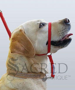 <iframe width="420" height="315" src="https://www.youtube.com/embed/oy99NlOFuHg" frameborder="0" allowfullscreen></iframe>