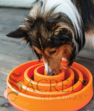 Outward Hound Fun Feeder