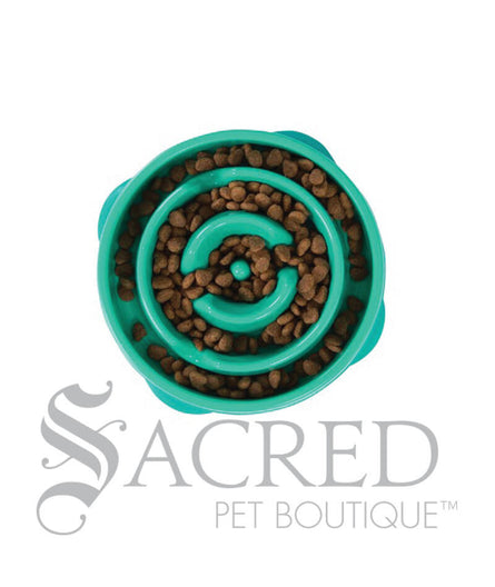 A circular teal coloured plastic slow feeder dog bowl filled with brown kibble. It features a concentric ridges and a maze like interior to encourage slow feeding. There is a white background with a grey Sacred Pet Boutique watermark. 