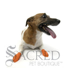 Disposable Rubber Dog Boots