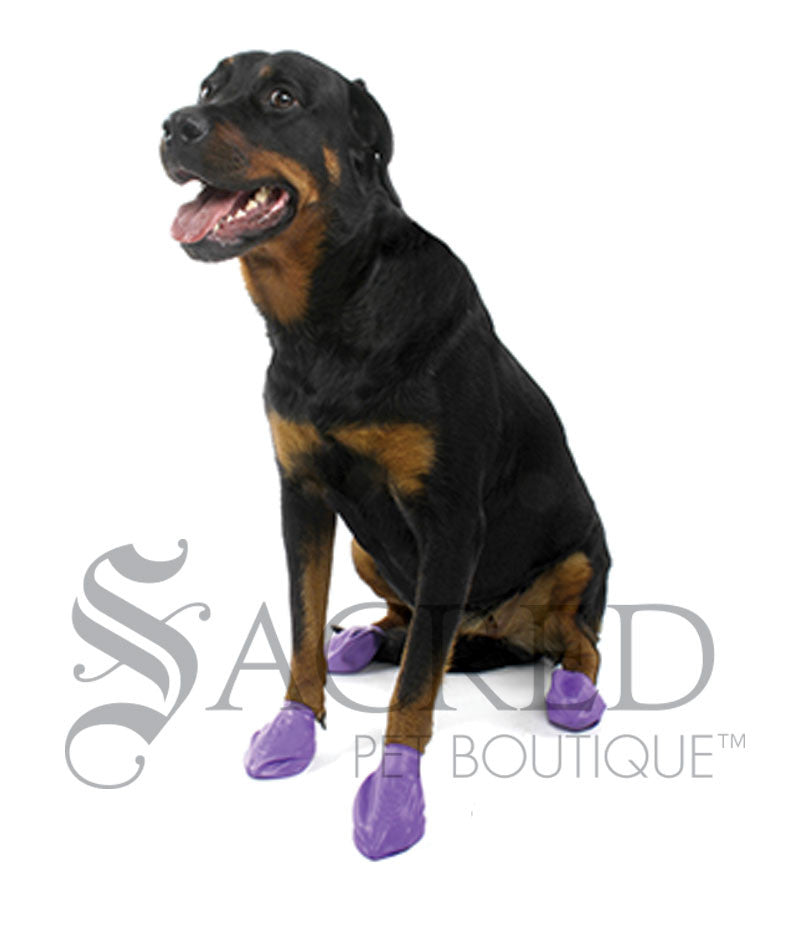 Disposable Rubber Dog Boots1