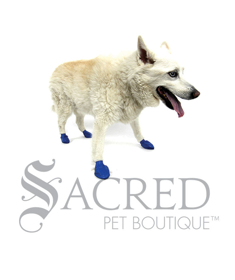 PAWZ Disposable Rubber Dog Boots Sacred Pet Boutique