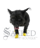 Disposable Rubber Dog Boots