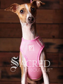 An Italian Greyhound dog wearing a black and white tuxedo style EasyGO pet harness with a bright red plush bow tie. A white fabric triangle mimics a formal dress shirt. The dog is sitting upright in front of a rustic background of horizontal wood planks with a white Sacred Pet Boutique watermark at the bottom of the image. 