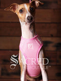 An Italian Greyhound dog is outfitted in a pink, breathable mesh step in style harness which is designed for small dogs and cats. It provided a comfortable buckle free fit using a simple slide down clip. The dog is sitting upright in front of a rustic background of horizontal wood planks with a white Sacred Pet Boutique watermark at the bottom of the image. 