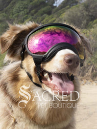 A dog in a beach setting is wearing black Rex Specs goggles with a blue mirror lens. In the reflection of the lenses you can see the sky and people. There is a grey sacred Pet Boutique watermark. 