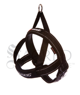 <iframe width="420" height="315" src="https://www.youtube.com/embed/nRbhFsOFn1E" frameborder="0" allowfullscreen></iframe>