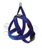 Quick Fit Harness