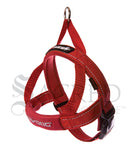 Quick Fit Harness