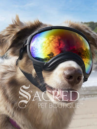 A dog in a beach setting is wearing black Rex Specs goggles with a blue mirror lens. In the reflection of the lenses you can see the sky and people. There is a grey sacred Pet Boutique watermark. 