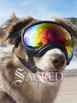 A dog in a beach setting is wearing black Rex Specs goggles with a blue mirror lens. In the reflection of the lenses you can see the sky and people. There is a grey sacred Pet Boutique watermark. 