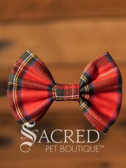Dog wearing a blue bow tie with 'Sacred Pet Boutique' branding.