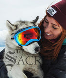 Rex Specs Replacement Lenses (V1)