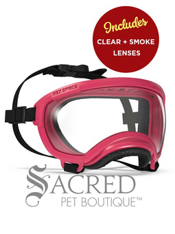 A black and white border collie dog wearing blue Rex Specs goggles is seen running in long dry grass. The goggles feature a green mirrored lens. The image has a white Sacred Pet Boutique watermark. 