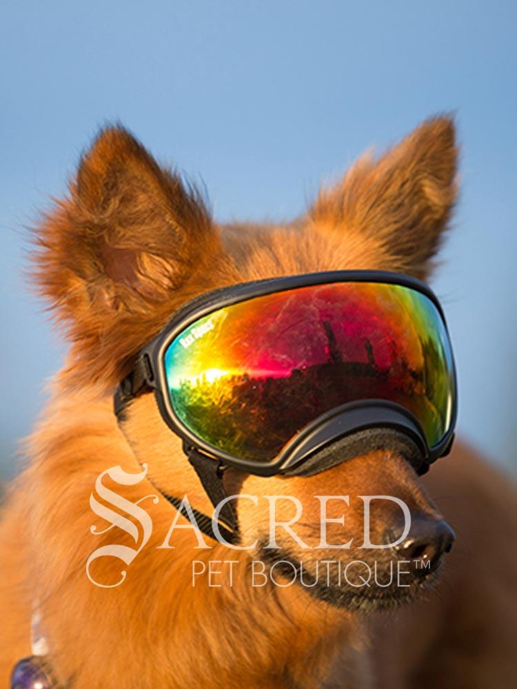 Rex Specs Dog Goggles Protective Eyewear For Australian Dogs. – Sacred ...