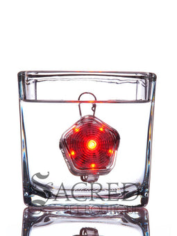 Beacon Dog Safety Light