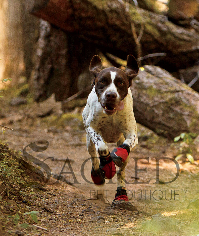 Gun hot sale dog boots