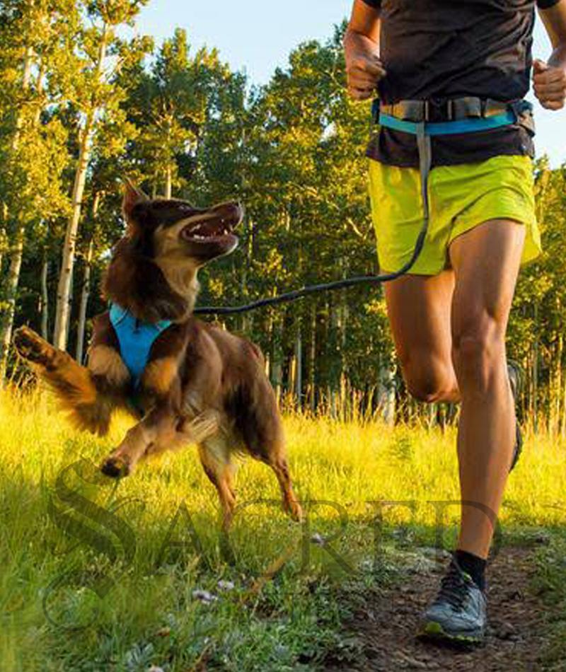 Ruffwear Trail Runner belt hands free running system Sacred Pet Boutique
