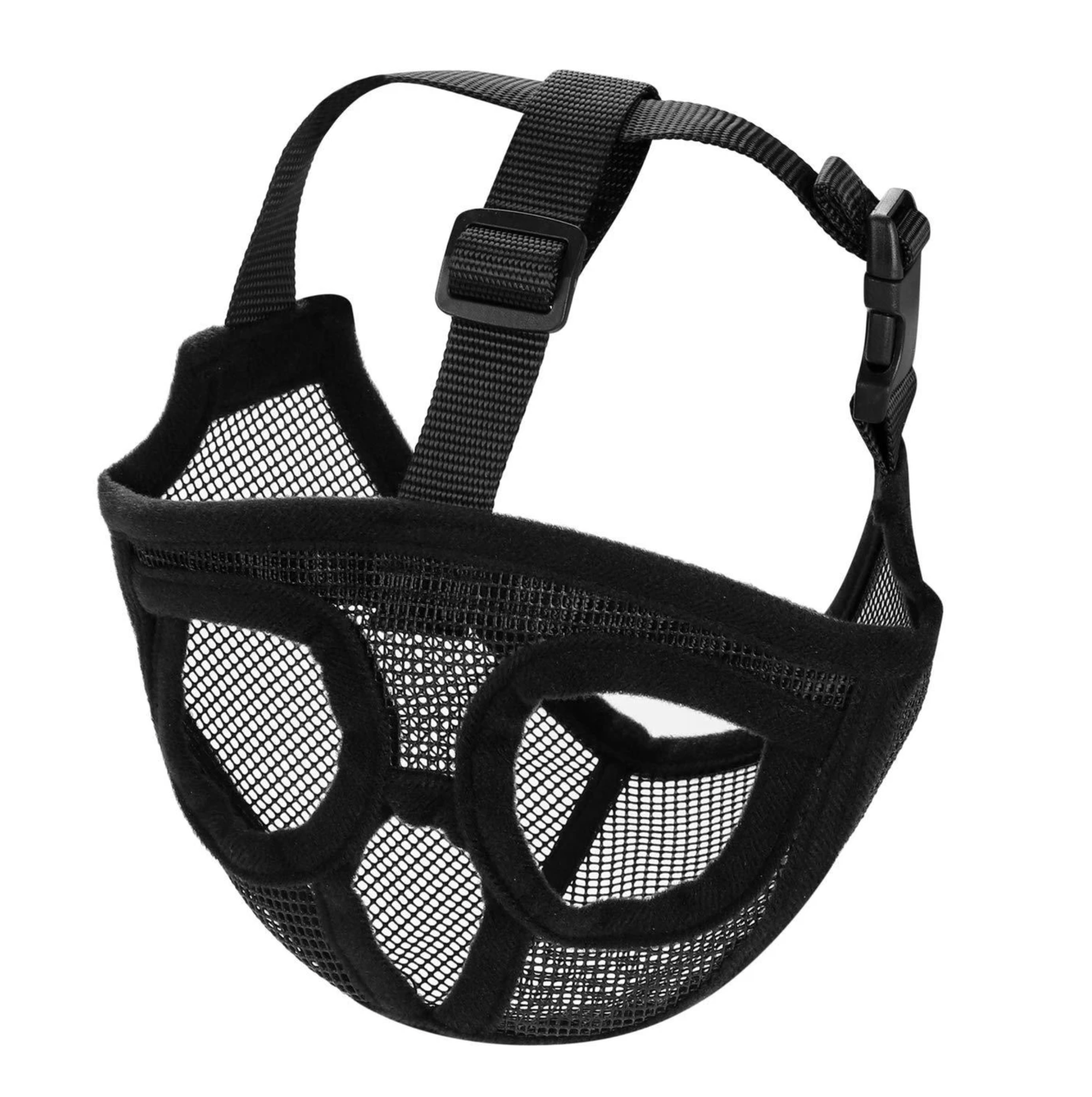 French bulldog muzzle 2024 australia