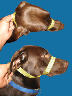 <iframe width="420" height="315" src="https://www.youtube.com/embed/oy99NlOFuHg" frameborder="0" allowfullscreen></iframe>