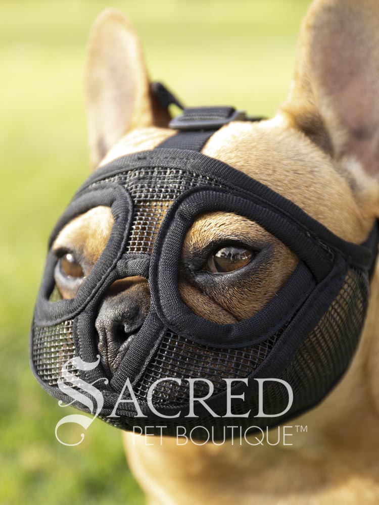 Short Snout Dog Muzzle for brachycephalic dogs – Sacred Pet Boutique