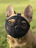 Short Snout Dog Muzzle