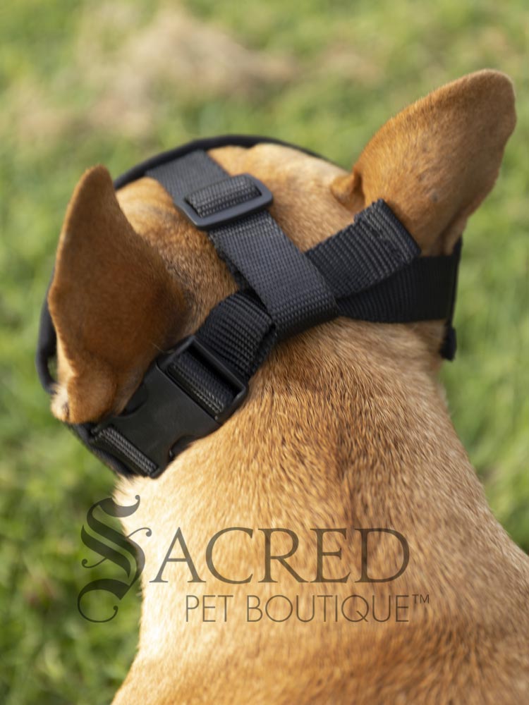 Short Snout Dog Muzzle for brachycephalic dogs Sacred Pet Boutique