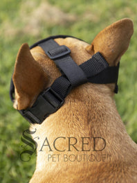 Short Snout Dog Muzzle