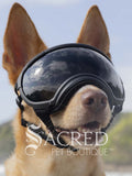 A medium sized tan dog in a beach setting is wearing black Rex Specs goggles with smoke coloured replacement lenses. In the reflection of the lenses is the sky. There is a white Sacred Pet 