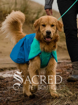 Sun Shower Dog Raincoat
