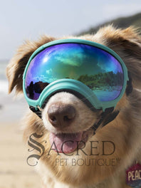 Rex Specs V2 Replacement Lenses