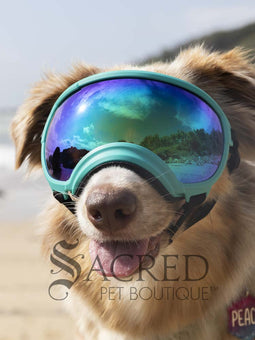 Rex Specs V2 Replacement Lenses