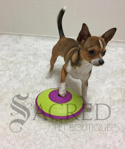 A green and purple saucer shaped interactive dog toy. It features a lime green outer ring and a vibrant purple centre and rim. A specialised curved indentation or track is visible on the green sections which allows treats to fall out. Near this opening is five dog treats showing how they fall out. At the bottom of this image is a grey Sacred Pet Boutique watermark.