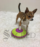 A Chihuahua dog is pushing the saucer shaped interactive purple and green treat maze with its foot to demonstrate how perfect this toy is for a very small dog. The toy is on white carpet with a white background and there is a grey Sacred Pet Boutique watermark at the bottom of the image.