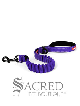Zero Shock Leash