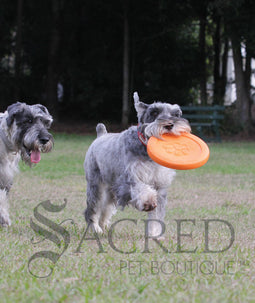 <iframe width="560" height="315" src="https://www.youtube.com/embed/2R40mCHTDuc" frameborder="0" allowfullscreen></iframe>